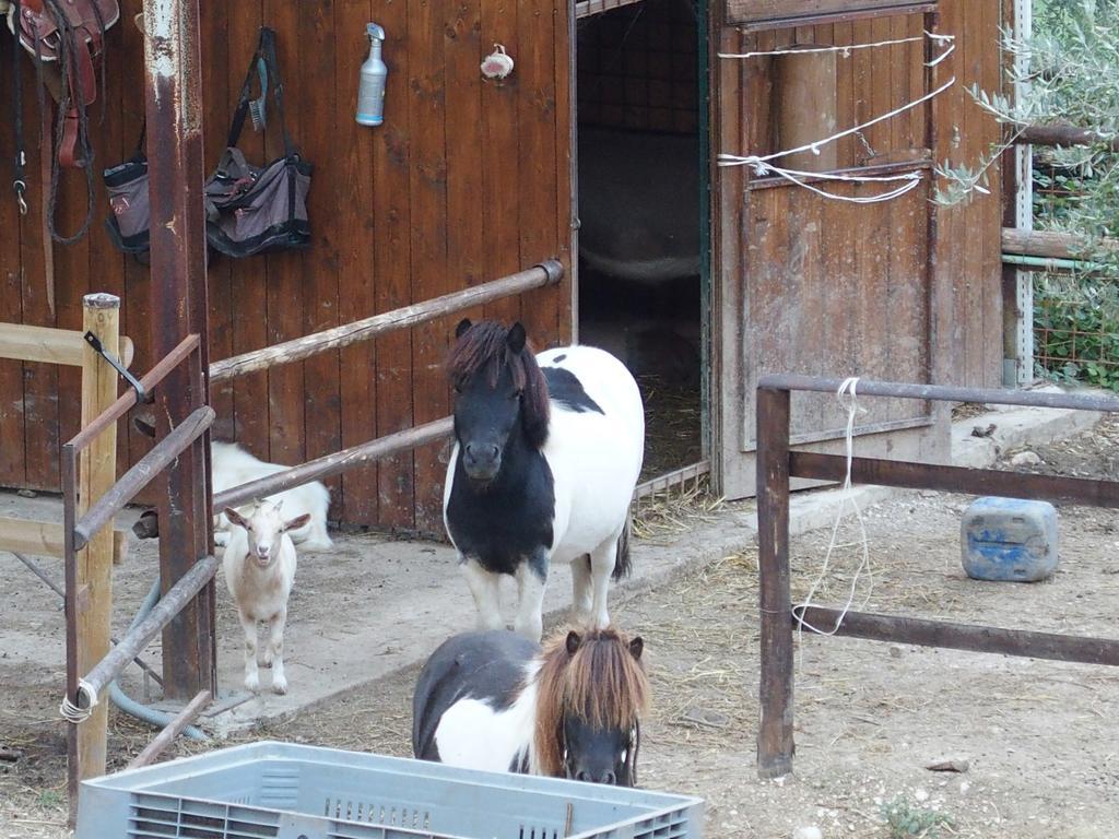 Country House Poggio Fiorito アッシジ エクステリア 写真