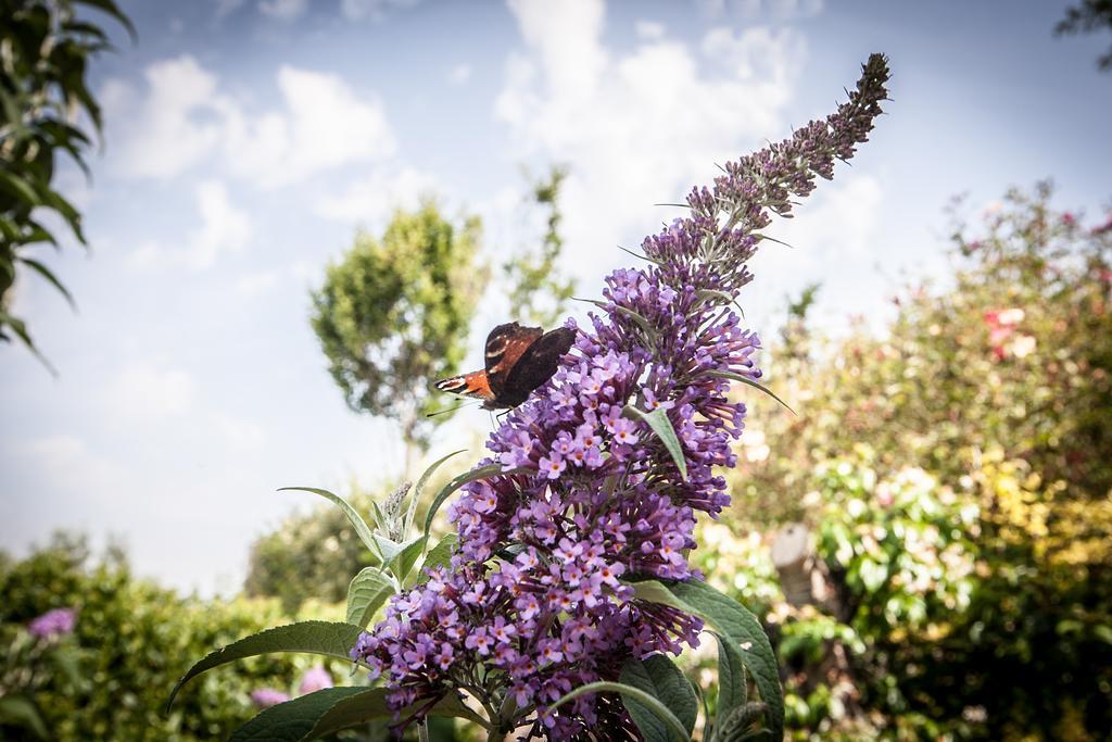 Country House Poggio Fiorito アッシジ エクステリア 写真