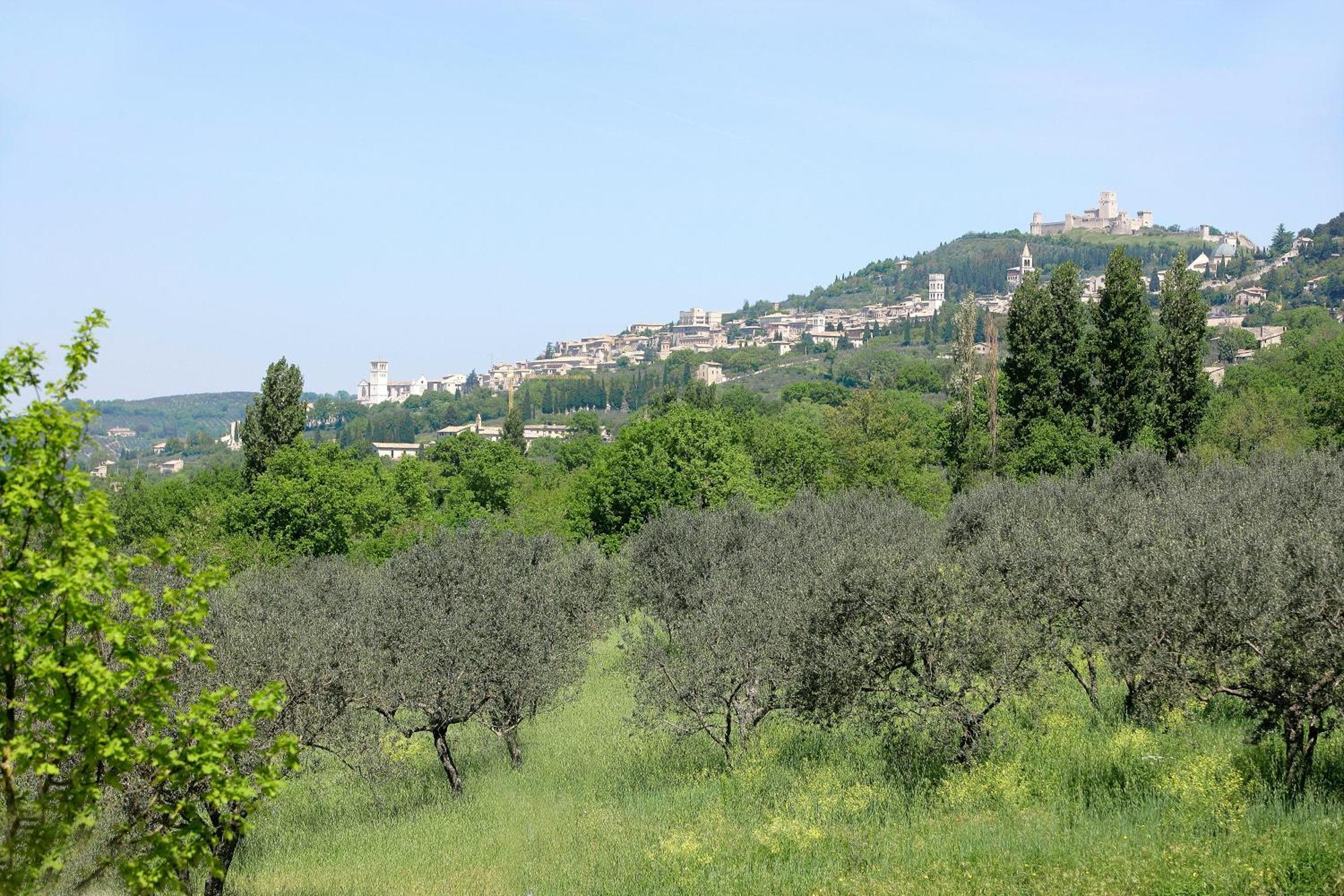 Country House Poggio Fiorito アッシジ エクステリア 写真